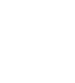 Unilever Logo in white